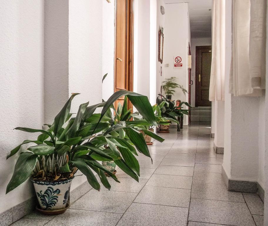 Pension Ciudad Navarro Ramos Granada Eksteriør bilde